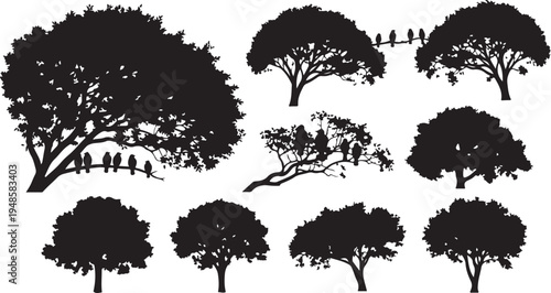 Silhouettes of trees with people in natural outdoor setting