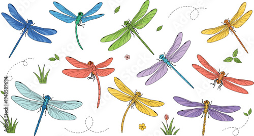 Vibrant dragonfly vector set featuring colorful insect illustrations with various wing positions for summer garden decor nature educational materials and stationery designs.