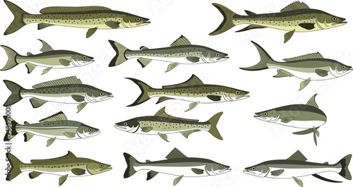 Vector set of science and laboratory icons featuring microscope dna helix test tubes and chemical flasks for medical research education and biotechnology.