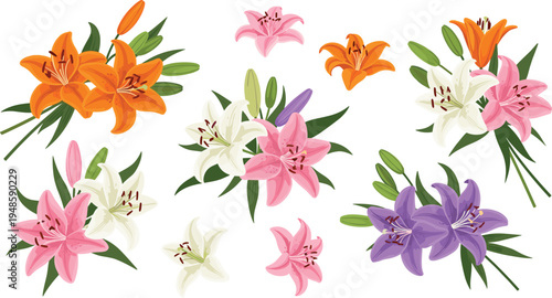 Vector collection of elegant lily flowers and bouquets in various colors for wedding invitations floral arrangements spring greeting cards and botanical designs.
