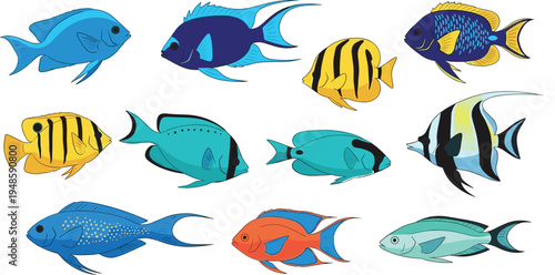 Collection of colorful tropical fish vector illustrations featuring various exotic sea species for aquarium decor marine life education and underwater design.