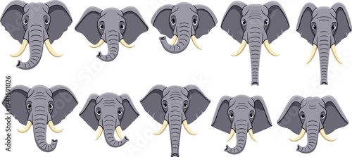 Large vector set of elephant head portraits with ivory tusks and various trunk positions isolated on white background for wildlife mascot design.