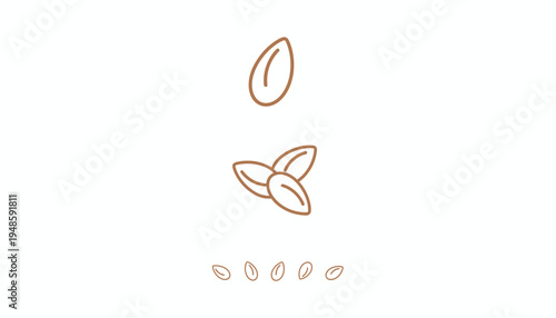 Almond Seeds Falling and Growing, Healthy Organic Food Concept