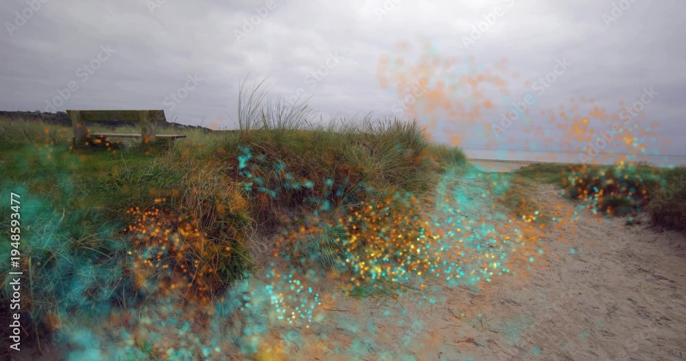 Fototapeta premium Showing grassy sand dune occupying center at coast access, with wooden bench, sparkling overlay