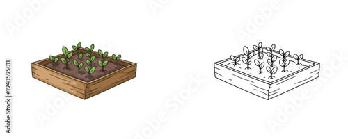 Seedlings in wooden tray illustration in flat cartoon and linear styles brown and green colors agricultural element for gardening and plant growing on white background