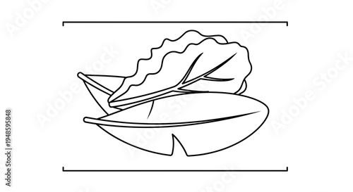 Simple Line Art Illustration of Fresh Lettuce Leaves, Healthy Food Concept