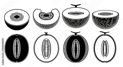 Melon Variety Cross Sections: Cantaloupe, Honeydew, and Muskmelon Halves