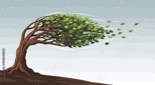 Strong wind bending a tree, leaves blowing away, stormy weather concept