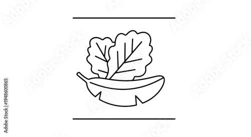Minimalist Line Art Icon of Fresh Lettuce and Banana Leaf