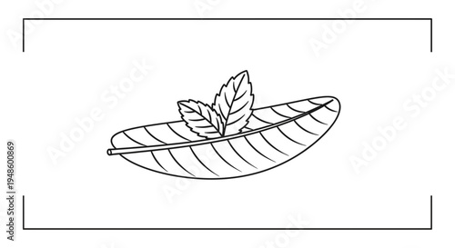 Minimalist Line Art Icon of Fresh Mint Leaves on a Smooth Leaf