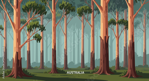 Misty Eucalyptus Forest Landscape, Australia - Stylized Vector Art