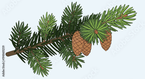 Pine Branch with Cones: Evergreen Nature, Forest Detail, Seasonal Flora