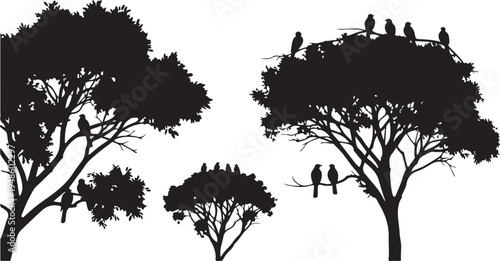 Silhouette of trees with birds and people on branches