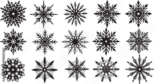 Collection of unique black snowflakes on white background illustration