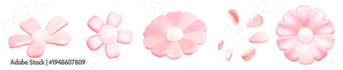 Pink 3D vector flower and petal collection, stylized floral design elements set isolated on white background for spring and romantic projects