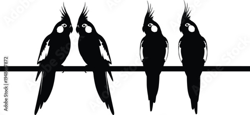 Cockatiel bird silhouettes perched on bar, parrot illustration, pet bird artwork, avian vector design, social behavior animal artwork