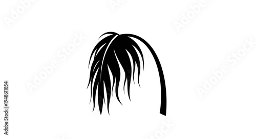 Black Silhouette of a Drooping Palm Tree Leaf on White Background