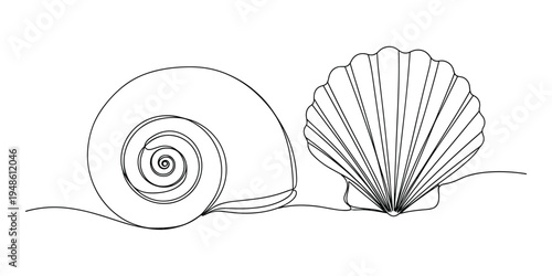 Seashell collection vector drawing with spiral snail and scallop shell contours