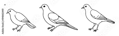 Dove set with simple line art design featuring a flying bird, peace symbol, and freedom with spirituality and purity