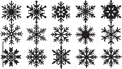 Collection of unique black snowflakes on white background illustration