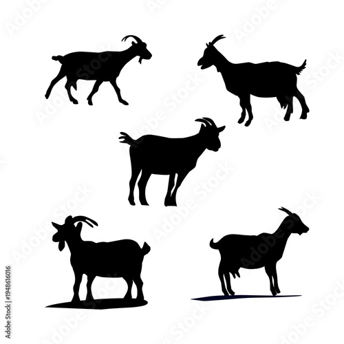 Farm goat silhouettes in various poses isolated black livestock animal vector illustration collection.