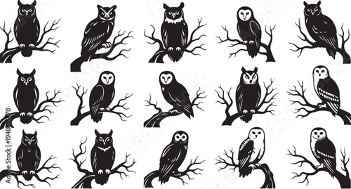 Owls sitting on bare tree branches in black and white