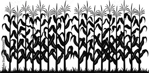 Dense cornfield silhouette, autumn harvest farming landscape, rural agriculture flat vector