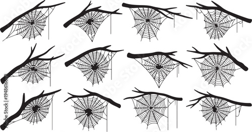 Spider Webs Hanging from Branches in Black and White