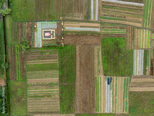 Aerial view of farmers tending to their crops in the patchwork rice fields of Hue City, Vietnam. The farmers are working to cultivate and harvest their crops.
