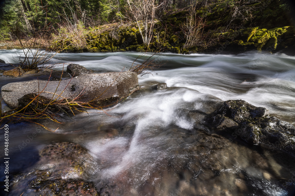 Fototapeta premium Rogue River above Union Creek, Oregon rushes over jagged stones. Mossy banks glow in golden sunlight. Nature's force moves through rocky terrain.