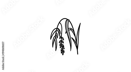 Minimalist line art of a single drooping oat stalk with leaves on a white background