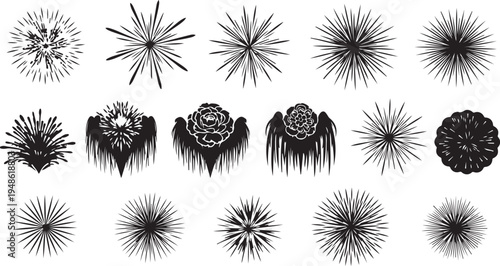 Black and white floral designs with various abstract patterns