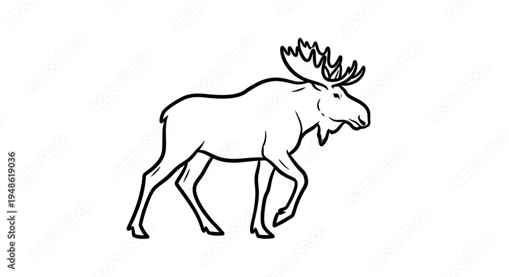 Fototapeta premium Line Art Moose Walking, Majestic Wildlife Animal Illustration