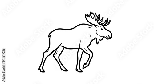 Line Art Moose Walking, Majestic Wildlife Animal Illustration