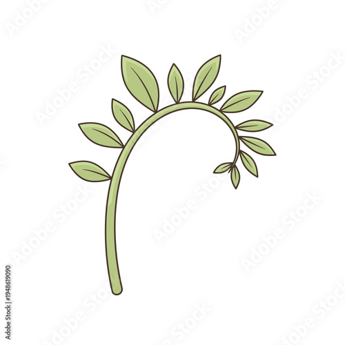 Curving Green Plant Stem with Delicate Leaves Illustration.