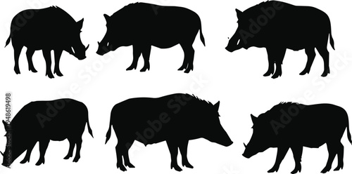 Wild boar silhouettes collection, pig animal set, farm livestock illustration, black boar figures, wildlife mammal silhouettes, nature agriculture concept