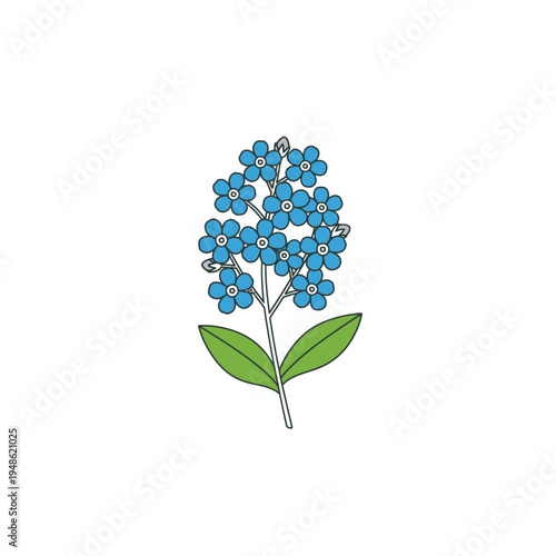 Delicate Blue Forget-Me-Not Flowers on Stem with Leaves.