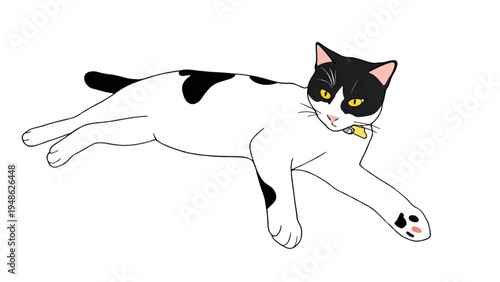 Simple illustration of a relaxed black and white domestic cat lounging comfortably against a pure white background
