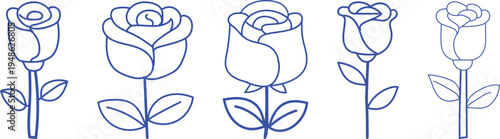Five blue line roses on white background flower line outline