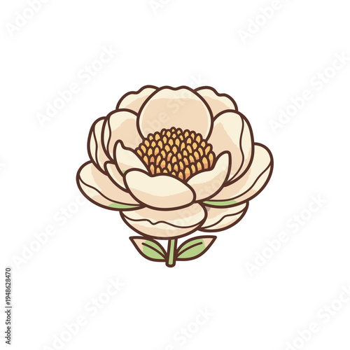 Elegant Cream Colored Peony Flower Illustration.