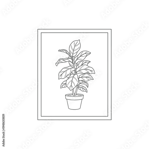 Elegant Fiddle Leaf Fig Plant in a Simple Pot Outline.
