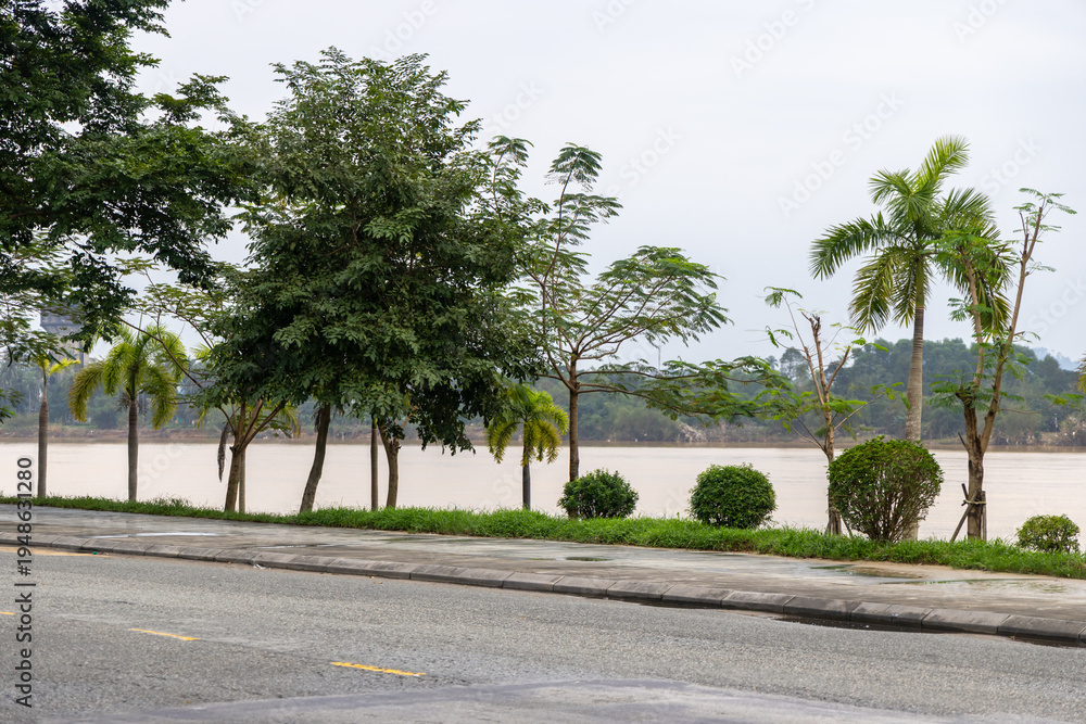 Obraz premium Along the Perfume River in Hue, Vietnam, a row of trees and palms line the walkway. The river's muddy waters reflect the overcast sky, creating a tranquil scene.