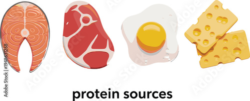 Illustrated protein sources including salmon, red meat, egg, and cheese, colorful food icons for nutrition, diet, health, and educational design themes