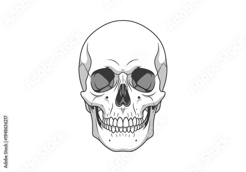 Front view illustration of a stylized human skull with dark eye sockets