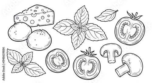 Hand-drawn Ingredients for Pizza: Mozzarella, Tomatoes, Basil, Mushrooms, Cheese