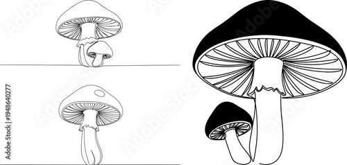Stroke outline illustration of mushrooms in a minimalist design on a transparent background with detailed gills and unique shapes of the caps.