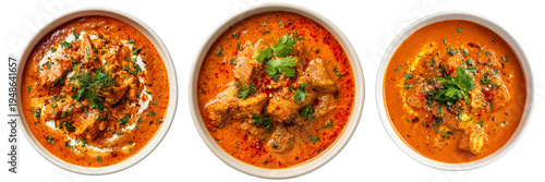 bowl of chicken tikka masala isolated on transparent background - design element cut-out object