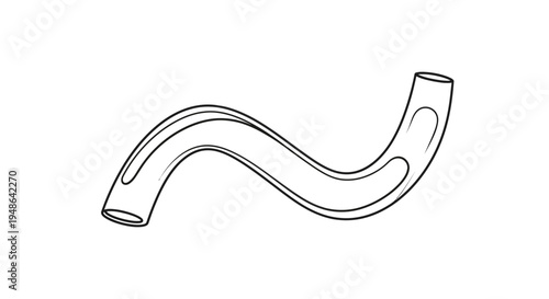 Curved transparent pipe with wavy shape, isolated on white background, simple line art