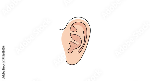 Minimalist Line Art of a Human Ear, Medical Illustration, Auditory Organ
