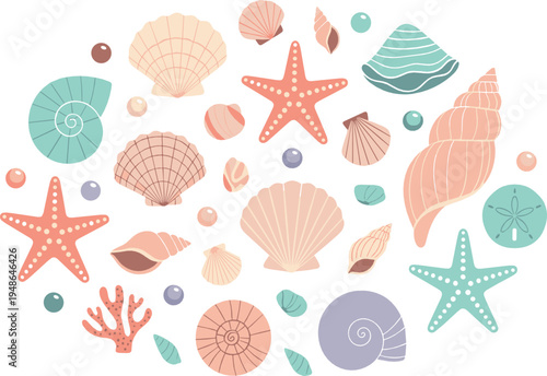 Pastel seashells and starfish vector collection with ocean shells, coral elements and beach marine decorative set in soft colors